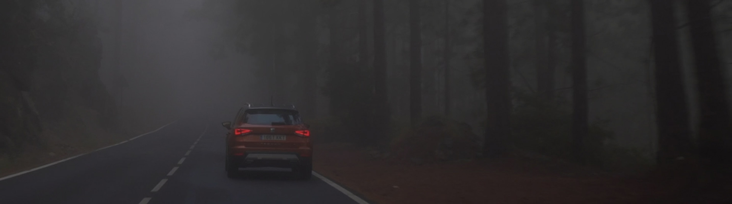 Tips for Autumn driving.